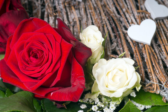 weiße und rote Rosen