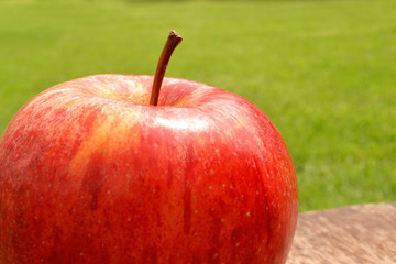 apple on wood and grass background