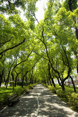 Fototapeta premium The image of beautiful nature in Asia