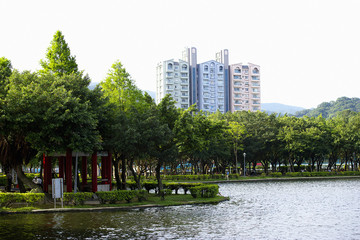 The image of beautiful forest in Asia