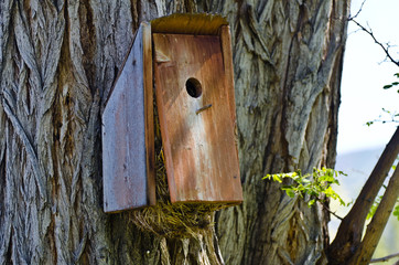 Overstuffed and Overflowing Birdhouse
