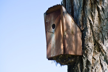 Overstuffed and Overflowing Birdhouse