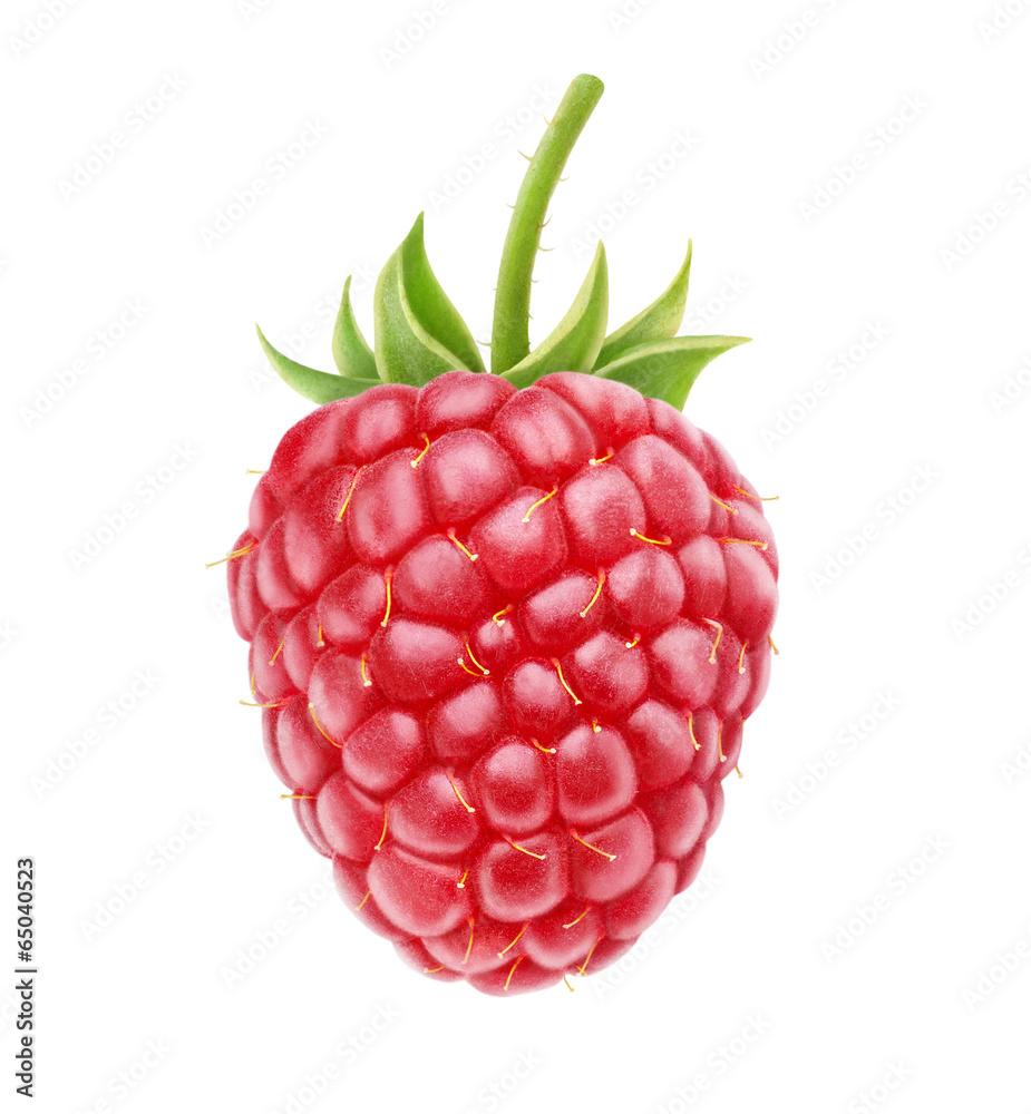 Wall mural isolated berry. one fresh raspberry fruit isolated on white background