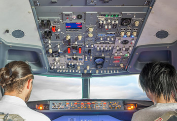 flight simulator