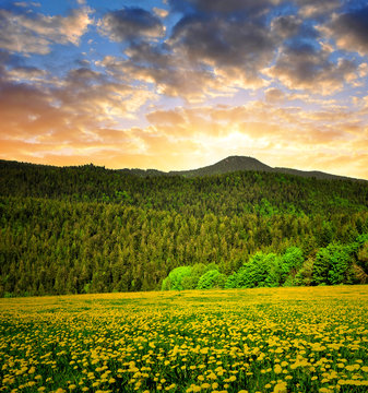 Sunset over the Bavarian Forest National Park - Germany