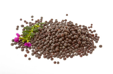 Black mustard seeds
