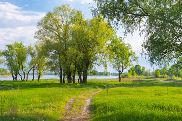 Riverside of Dnepr river, Ukraine