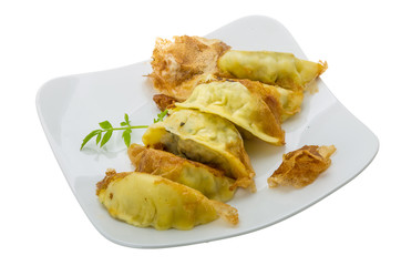 Japan dumplings - gyoza