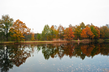 autumn