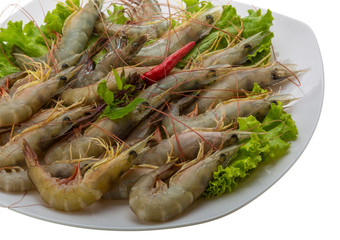 Raw tiger shrimps