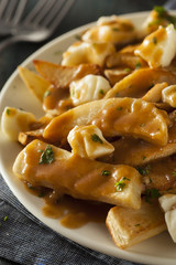 Unhealthy Delicious Poutine with French Fries