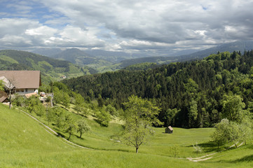 Mitten im Schwarzwald