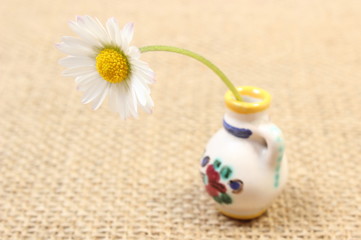 White daisy in colorful ceramic vase on jute canvas