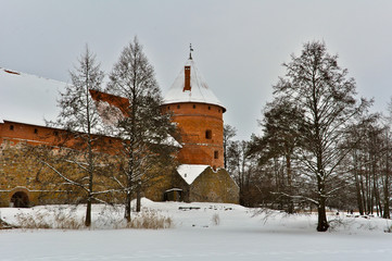 Trakai Castle in Winter