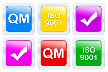 ISO 9901 im QM