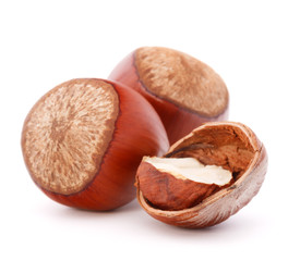 hazelnut or filbert nut isolated on white background cutout