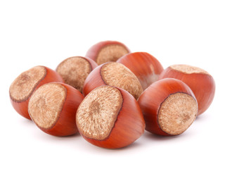 hazelnut or filbert nut isolated on white background cutout