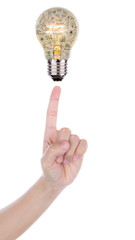 Hand Point to business concept in bulb isolated on white backgro