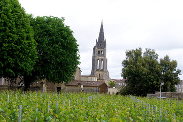 Le vignoble