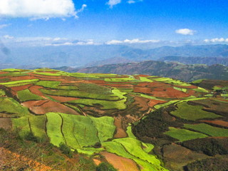 Fototapeta premium The image of landscape