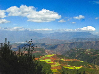 The image of landscape