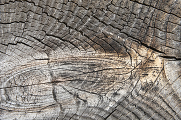 Fototapeta premium wooden background