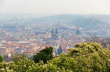 View of Prague Old Town (Stare Mesto) - Czech Republic