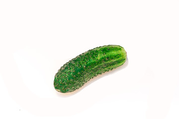 Beautiful ripe cucumber