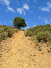 Hills around La Cala De Mijas