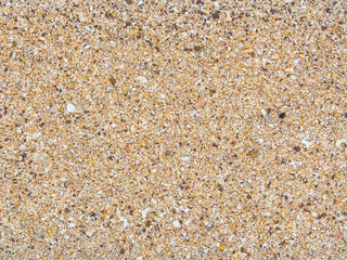 sand beach texture