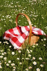Rolgordijnen picnic basket © claraveritas