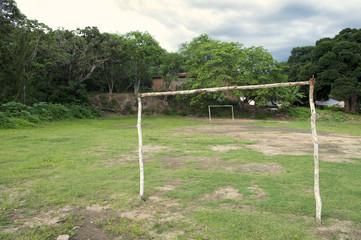 Tropical Brazilian Football Pitch with Palm Trees