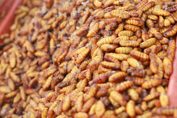 fried silk worms in the market