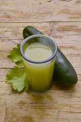 Cucumis sativus Cucumber Cetriolo Gurke Concombre Ogórek siewny