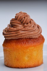 muffin chocolate