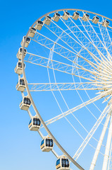 Ferris wheel in the park