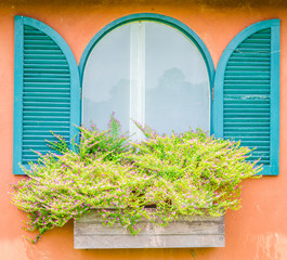 Tuscany window