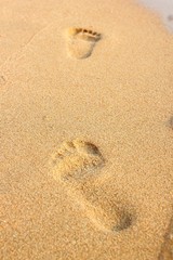 footprint