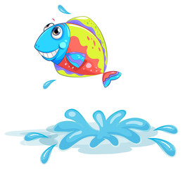 A colourful fish