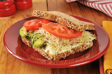 Organic veggie sandwich