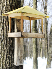 Bird Feeders