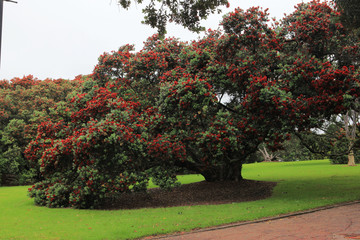 The image of landscape