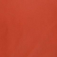 Red leather