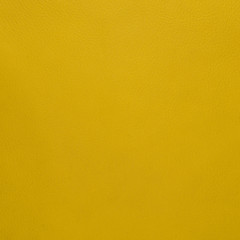 Fototapeta premium Yellow leather