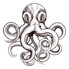 Octopus illustration © Christos Georghiou