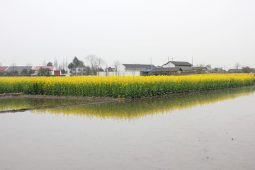 The image of beautiful natures