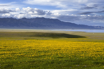 The image of landscape