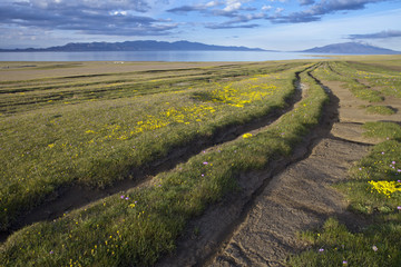 The image of landscape