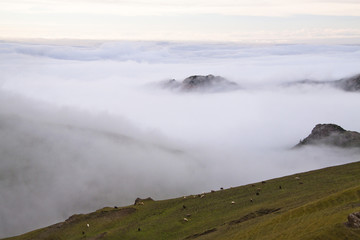 The image of landscape