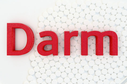 Darm - 3d Render
